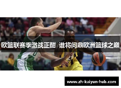 欧篮联赛季激战正酣  谁将问鼎欧洲篮球之巅